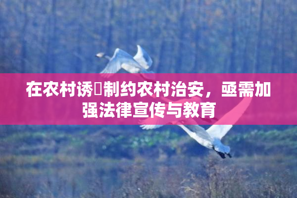 在农村诱奷制约农村治安，亟需加强法律宣传与教育