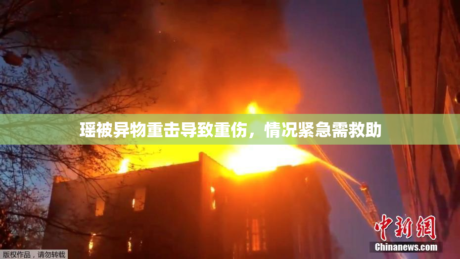 瑶被异物重击导致重伤，情况紧急需救助