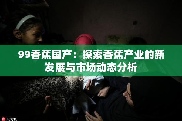 99香蕉国产：探索香蕉产业的新发展与市场动态分析