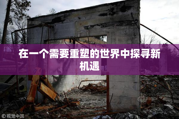 在一个需要重塑的世界中探寻新机遇