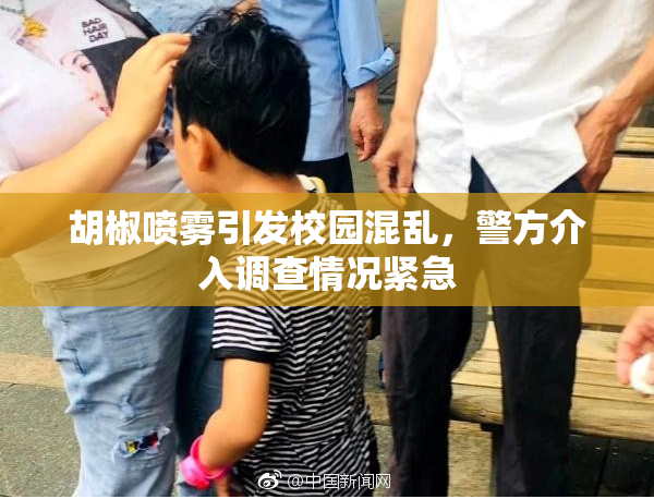 胡椒喷雾引发校园混乱，警方介入调查情况紧急