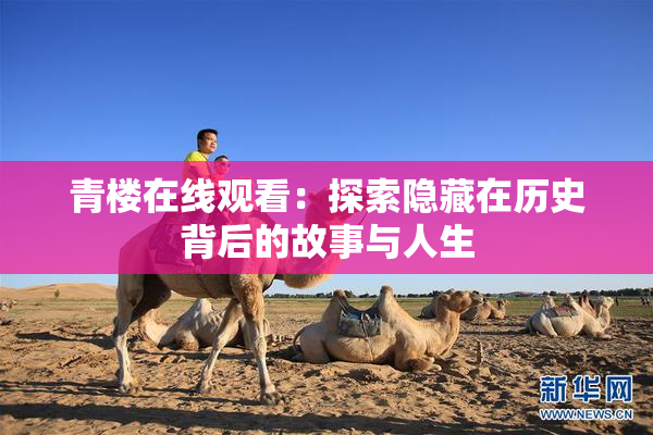 青楼在线观看：探索隐藏在历史背后的故事与人生