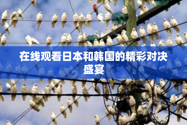在线观看日本和韩国的精彩对决盛宴