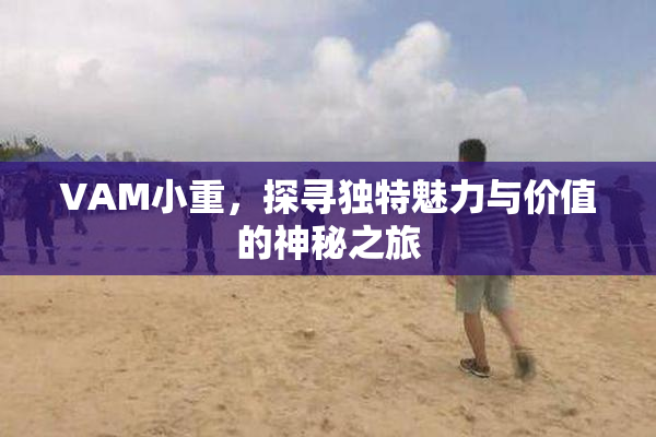 VAM小重，探寻独特魅力与价值的神秘之旅