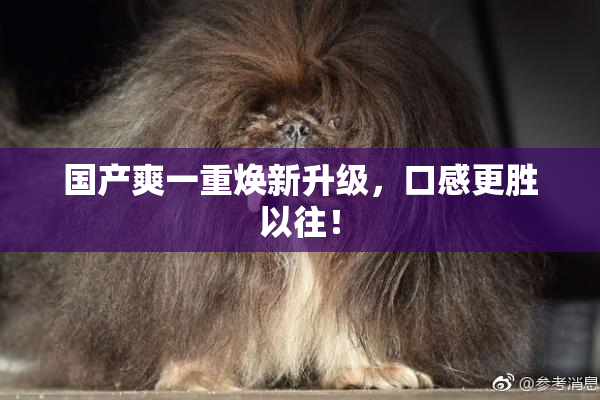 国产爽一重焕新升级，口感更胜以往！