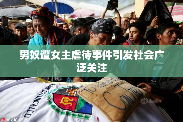 男奴遭女主虐待事件引发社会广泛关注