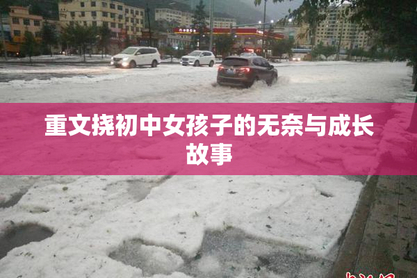 重文挠初中女孩子的无奈与成长故事