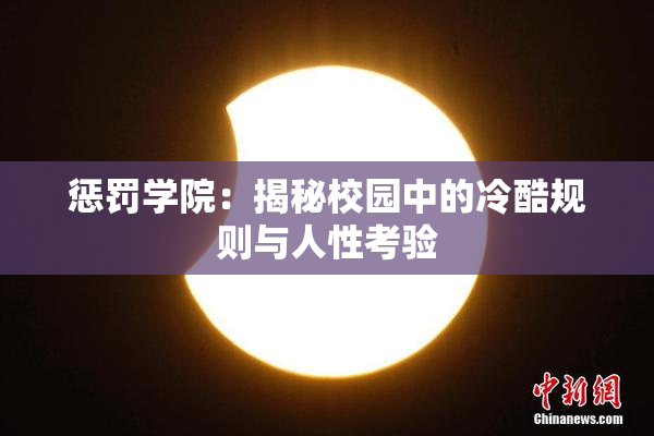 惩罚学院：揭秘校园中的冷酷规则与人性考验