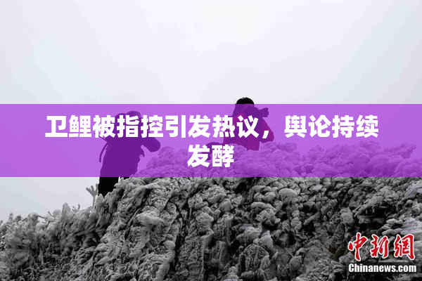 卫鲤被指控引发热议，舆论持续发酵
