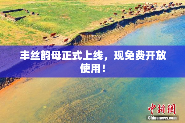 丰丝韵母正式上线，现免费开放使用！