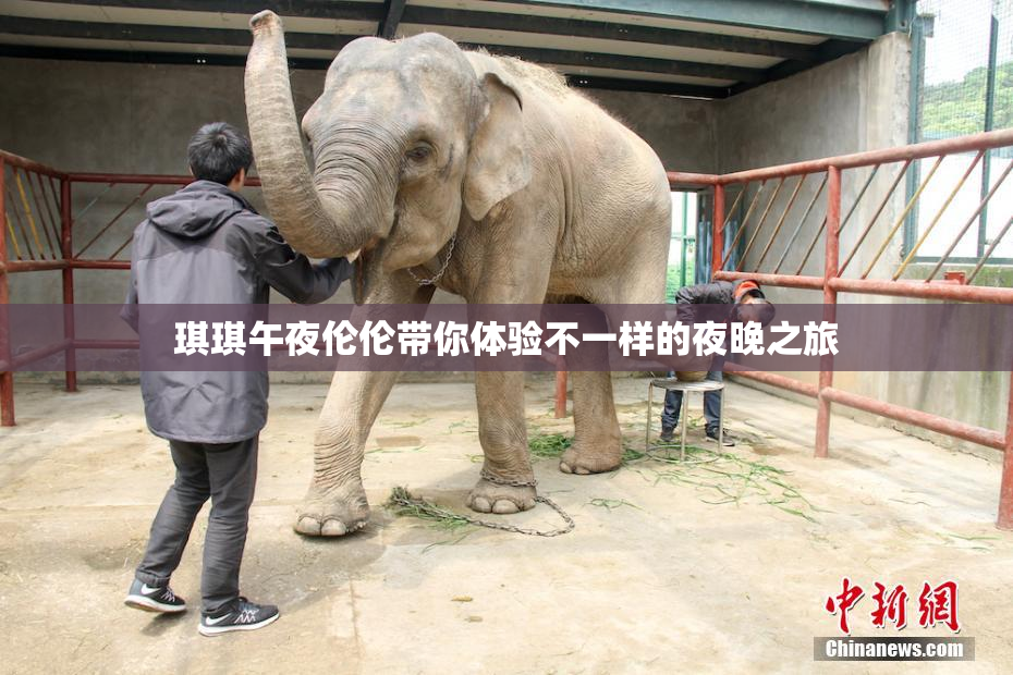 琪琪午夜伦伦带你体验不一样的夜晚之旅