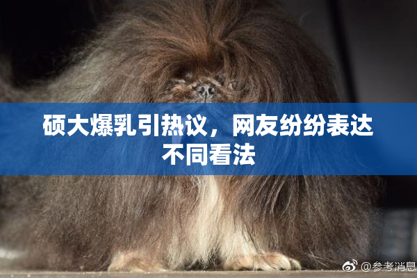 硕大爆乳引热议，网友纷纷表达不同看法
