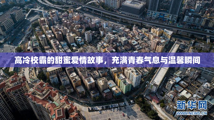 高冷校霸的甜蜜爱情故事，充满青春气息与温馨瞬间