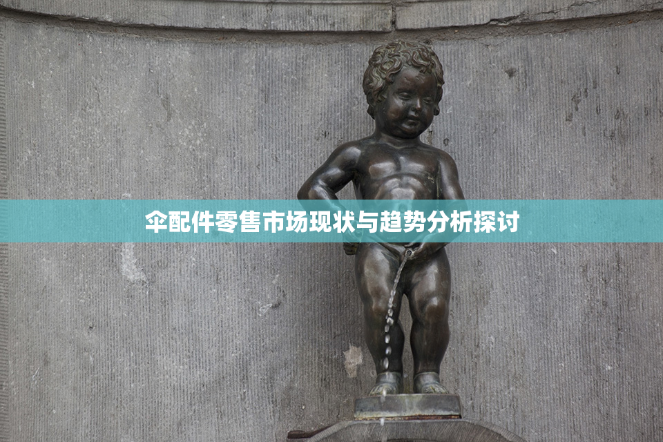 伞配件零售市场现状与趋势分析探讨