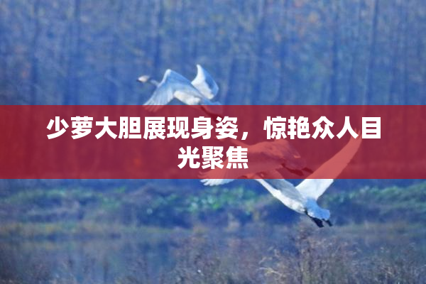 少萝大胆展现身姿，惊艳众人目光聚焦