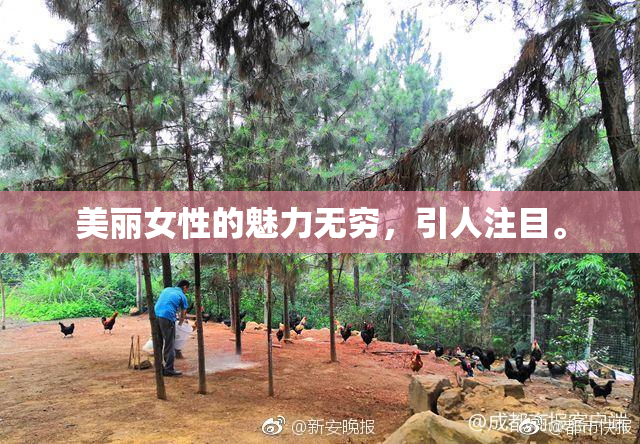 美丽女性的魅力无穷，引人注目。