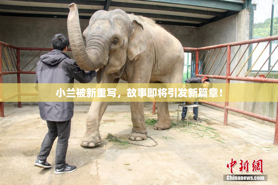 小兰被新重写，故事即将引发新篇章！