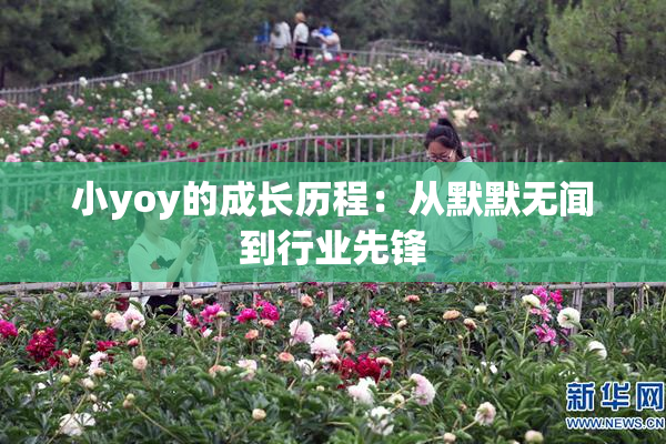 小yoy的成长历程：从默默无闻到行业先锋