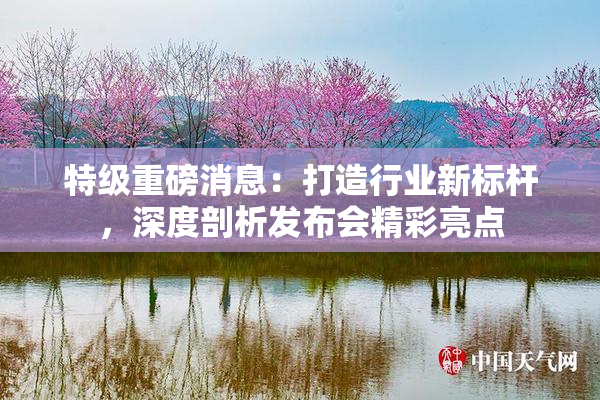 特级重磅消息：打造行业新标杆，深度剖析发布会精彩亮点