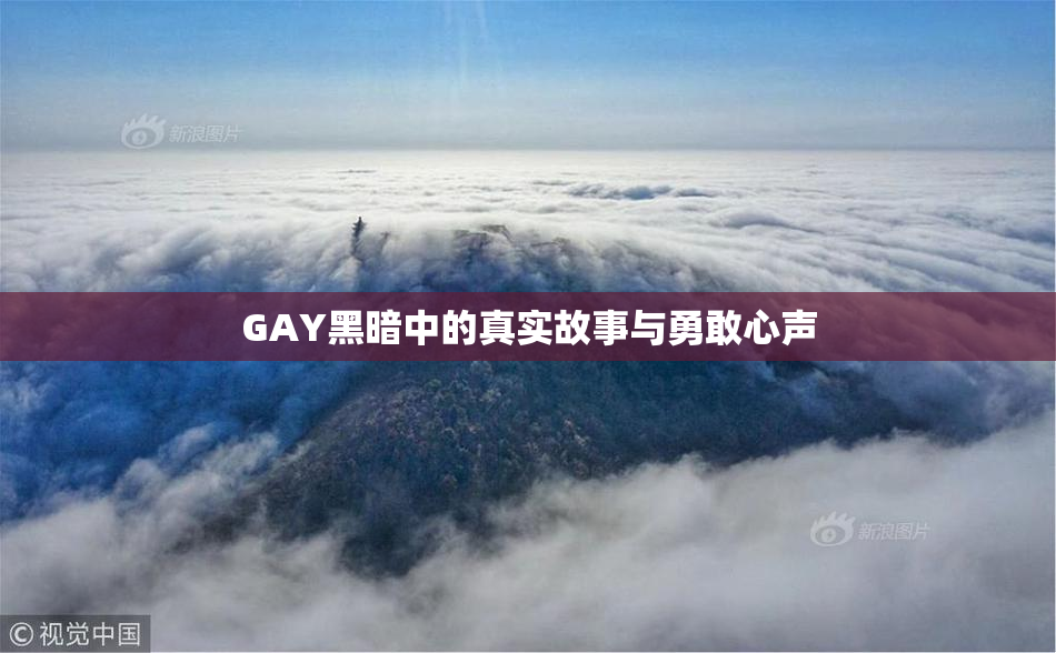 GAY黑暗中的真实故事与勇敢心声