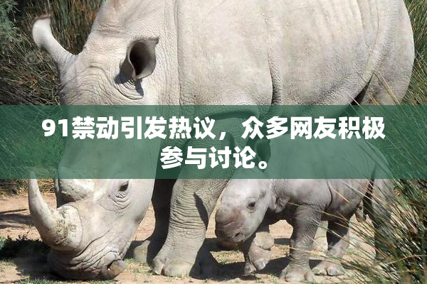 91禁动引发热议，众多网友积极参与讨论。