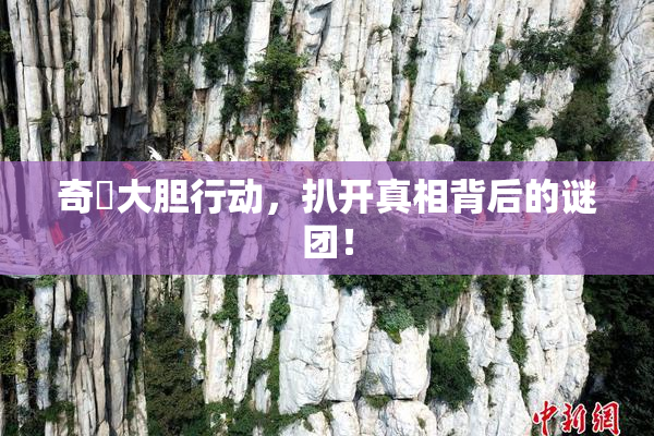 奇犽大胆行动，扒开真相背后的谜团！