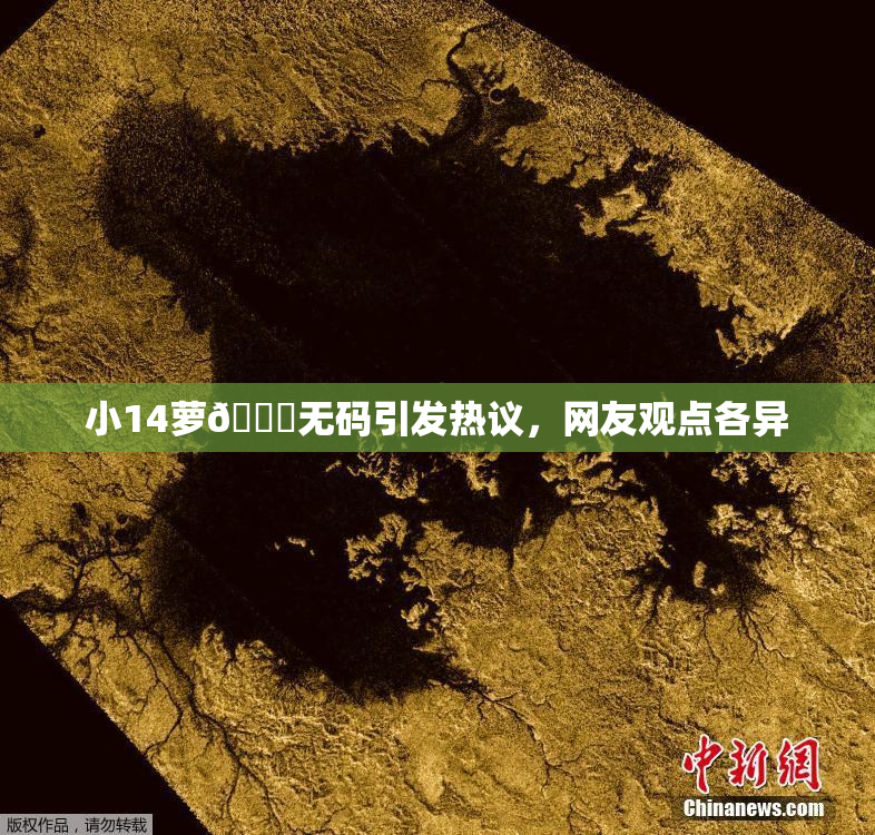 小14萝🔞无码引发热议，网友观点各异