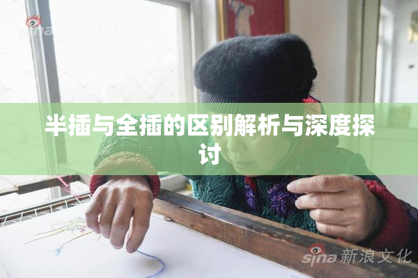 半插与全插的区别解析与深度探讨