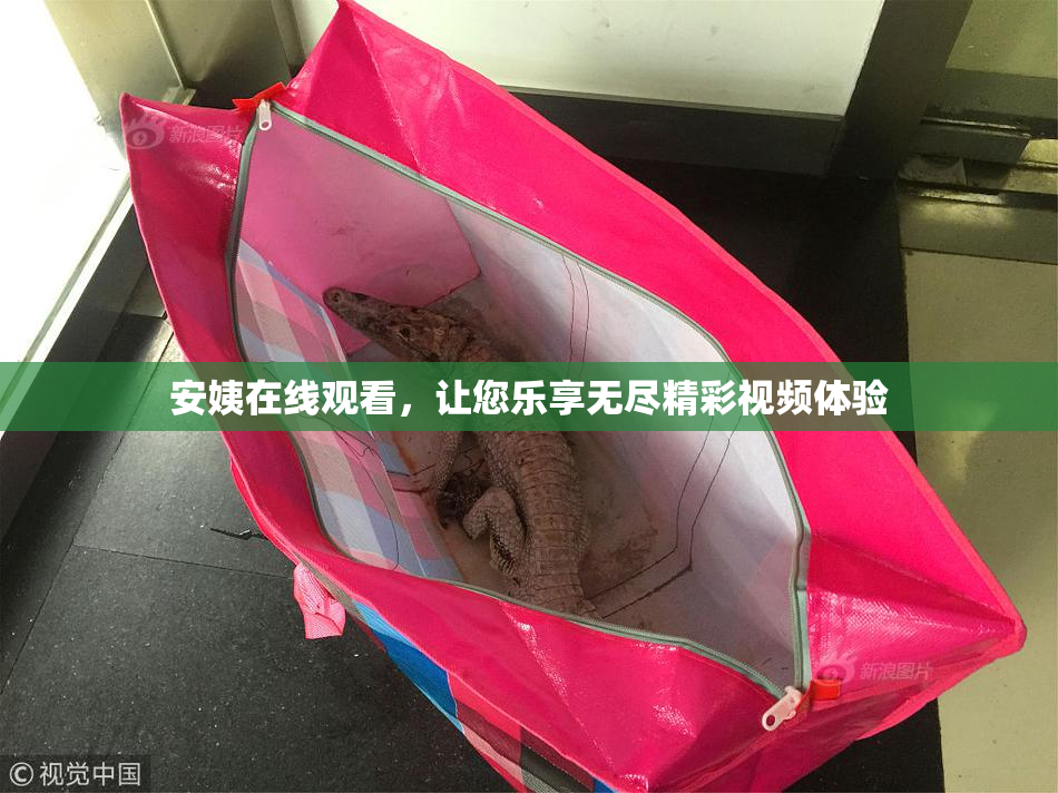 安姨在线观看，让您乐享无尽精彩视频体验