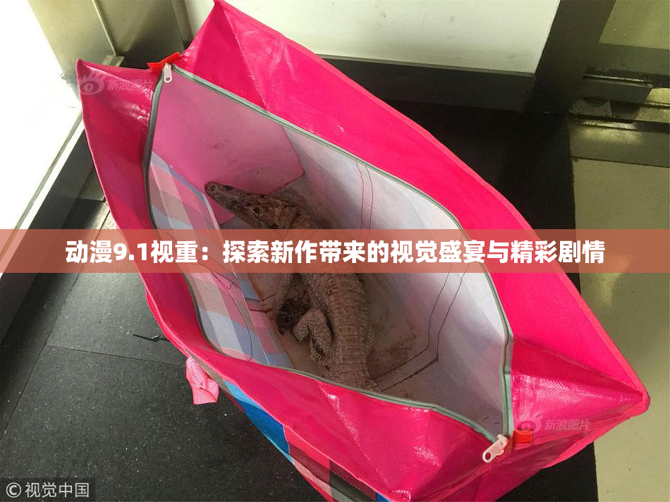 动漫9.1视重：探索新作带来的视觉盛宴与精彩剧情