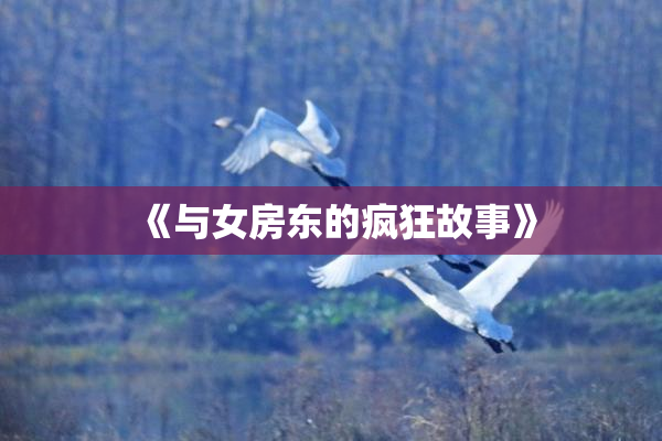 《与女房东的疯狂故事》