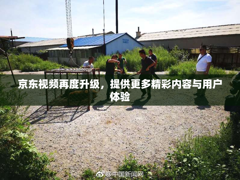 京东视频再度升级，提供更多精彩内容与用户体验