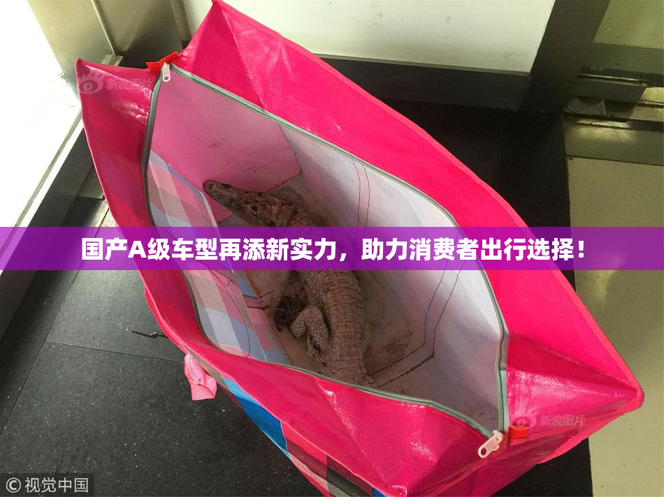 国产A级车型再添新实力，助力消费者出行选择！