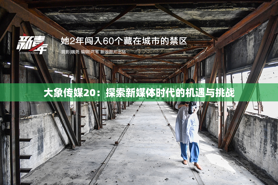 大象传媒20：探索新媒体时代的机遇与挑战