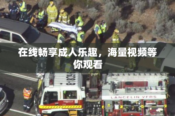 在线畅享成人乐趣，海量视频等你观看