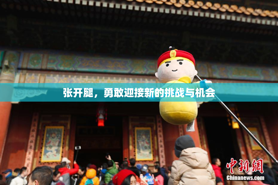 张开腿，勇敢迎接新的挑战与机会