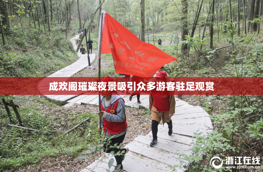 成欢阁璀璨夜景吸引众多游客驻足观赏
