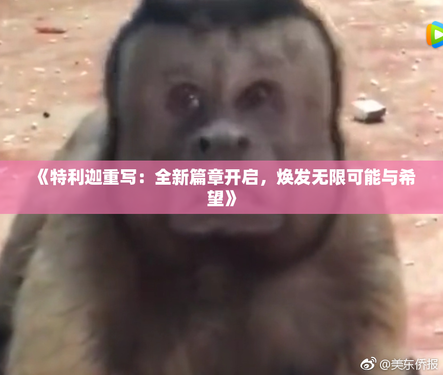 《特利迦重写：全新篇章开启，焕发无限可能与希望》