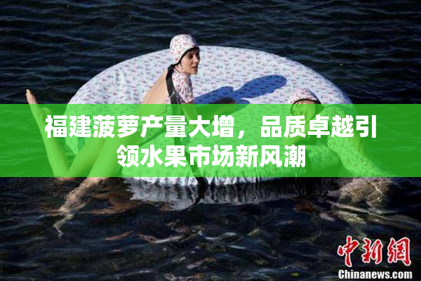 福建菠萝产量大增，品质卓越引领水果市场新风潮