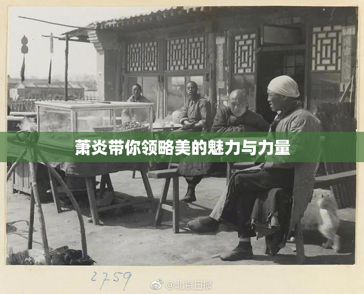 萧炎带你领略美的魅力与力量