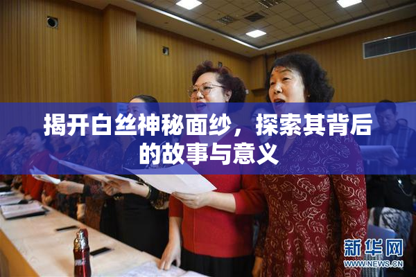 揭开白丝神秘面纱，探索其背后的故事与意义