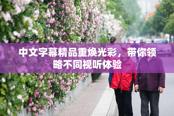 中文字幕精品重焕光彩，带你领略不同视听体验