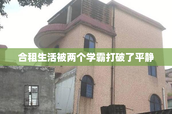 合租生活被两个学霸打破了平静