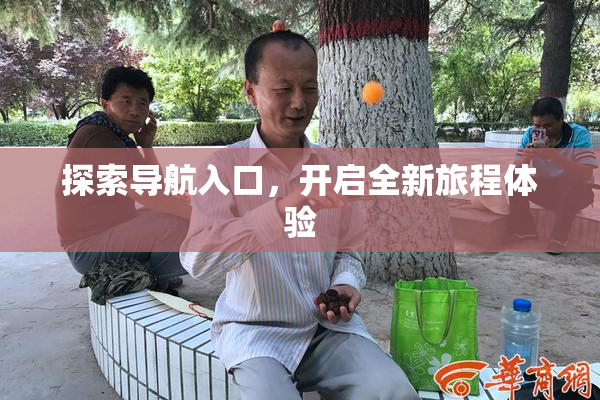 探索导航入口，开启全新旅程体验