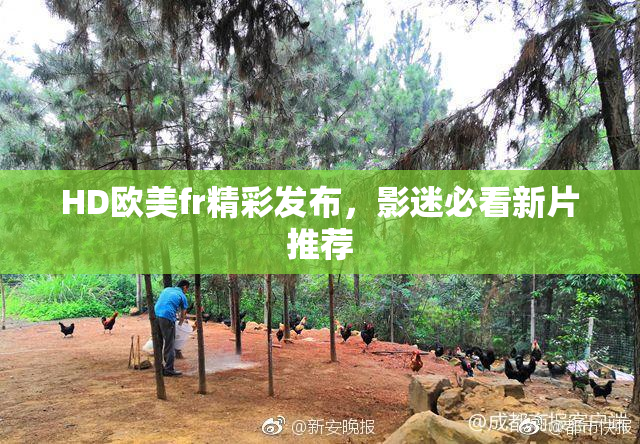HD欧美fr精彩发布，影迷必看新片推荐