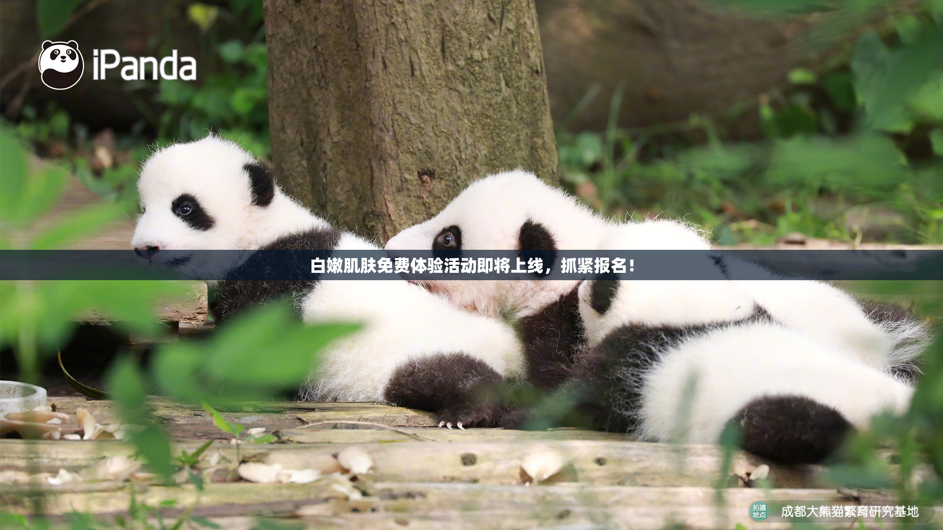 白嫩肌肤免费体验活动即将上线，抓紧报名！