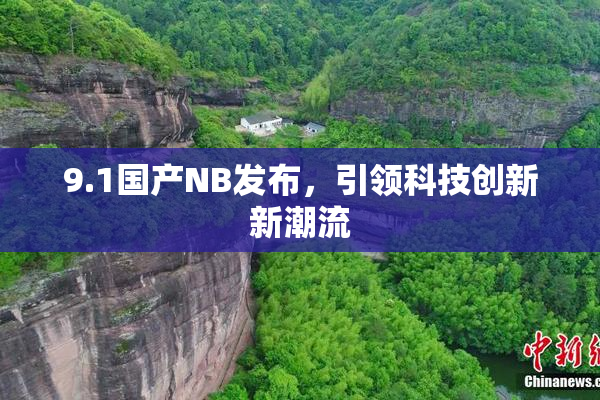 9.1国产NB发布，引领科技创新新潮流