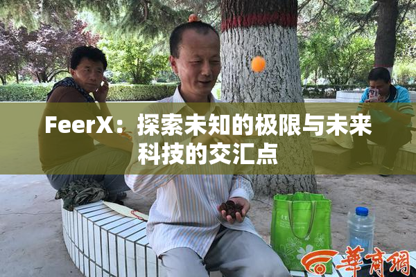 FeerX：探索未知的极限与未来科技的交汇点