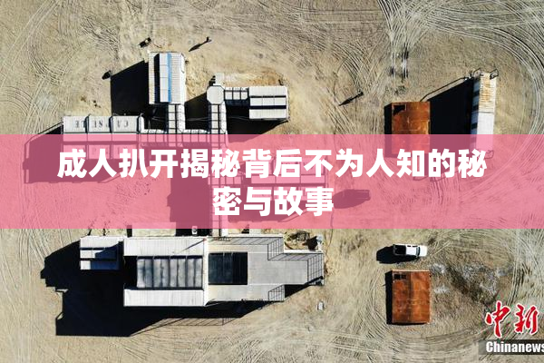 成人扒开揭秘背后不为人知的秘密与故事