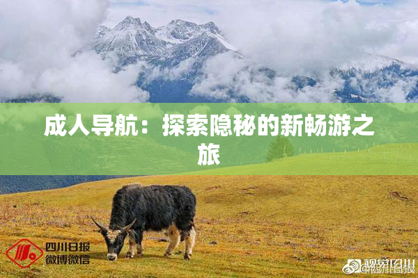 成人导航：探索隐秘的新畅游之旅